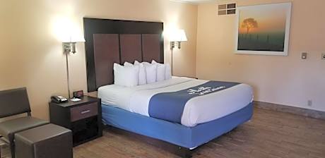 King Room - Pet Friendly/Non-Smoking