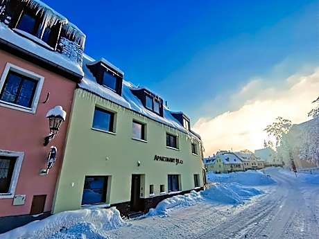 APARTMÁNY 91 Boží Dar