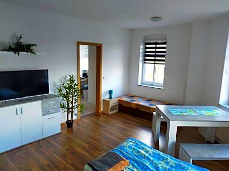 FLEX Aparts - große, möblierte Wohnung in Zwickau mit 2 Zimmern