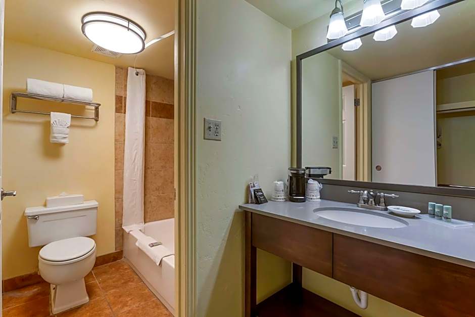 Best Western Plus Phoenix Goodyear Inn