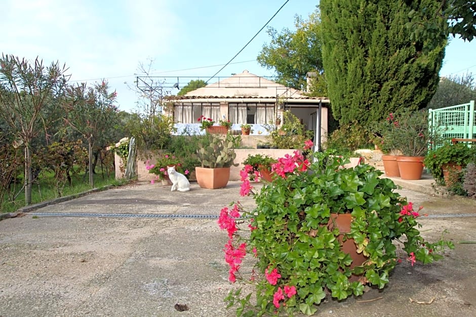 Le cabanon de l'olivette