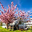 HofHotel Krähenberg