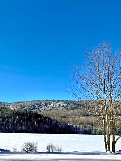 Mini maison La Charme