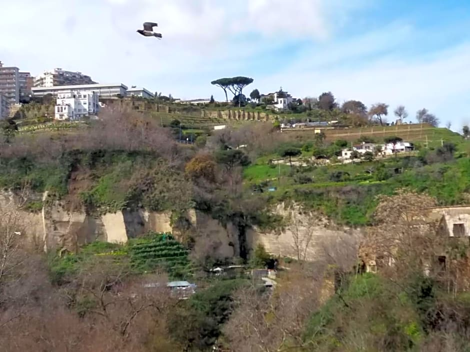 B&B Napoli Leggendaria