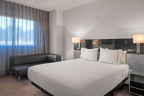 Standard Plus, Guest room, 1 King