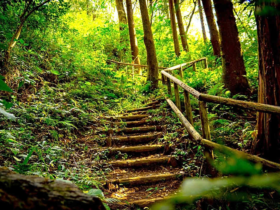 Kita-Kamakura 520ゴーニーマル