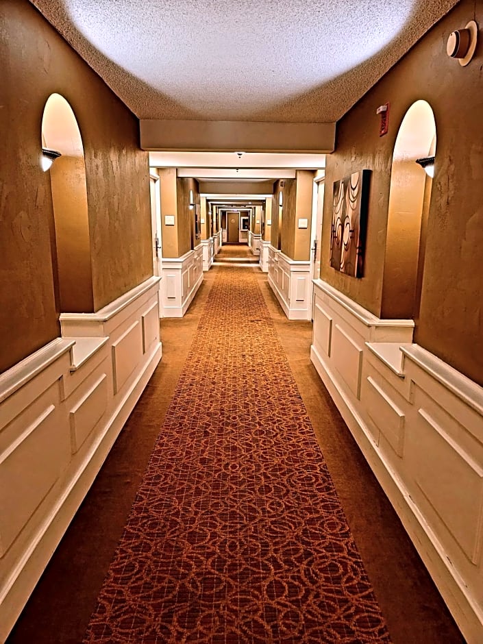 Seville Plaza Hotel, Trademark Collection by Wyndham