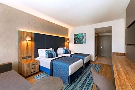 Accessible Room