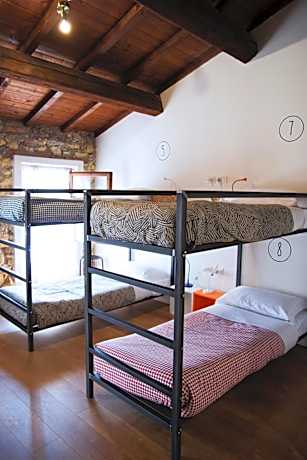 Bed in 8-Bed Dormitory Room