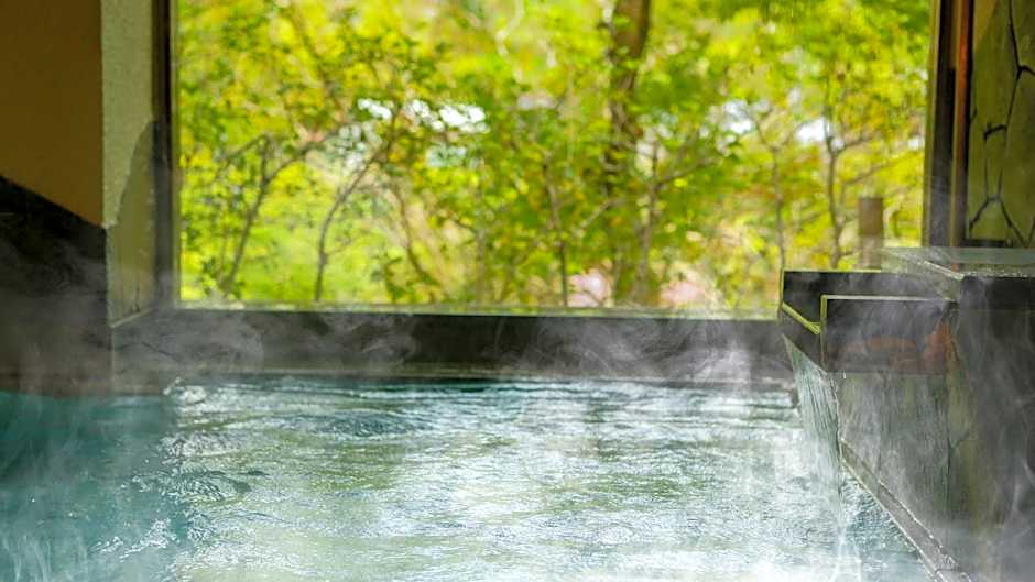 Ooedo Onsen Monogatari Shinshu Kakeyu