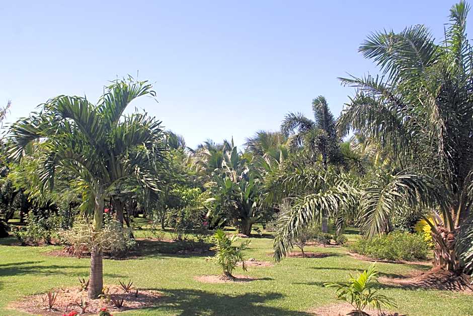 Domaine des Oiseaux Réunion