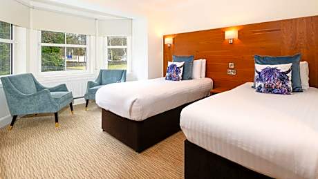 Cosy Twin Room