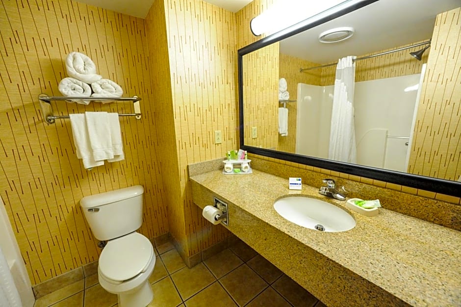 Holiday Inn Express Hotel & Suites Bowling Green By IHG