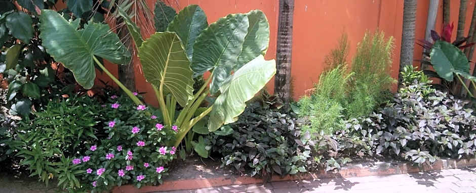 Transit Motel Ukonga