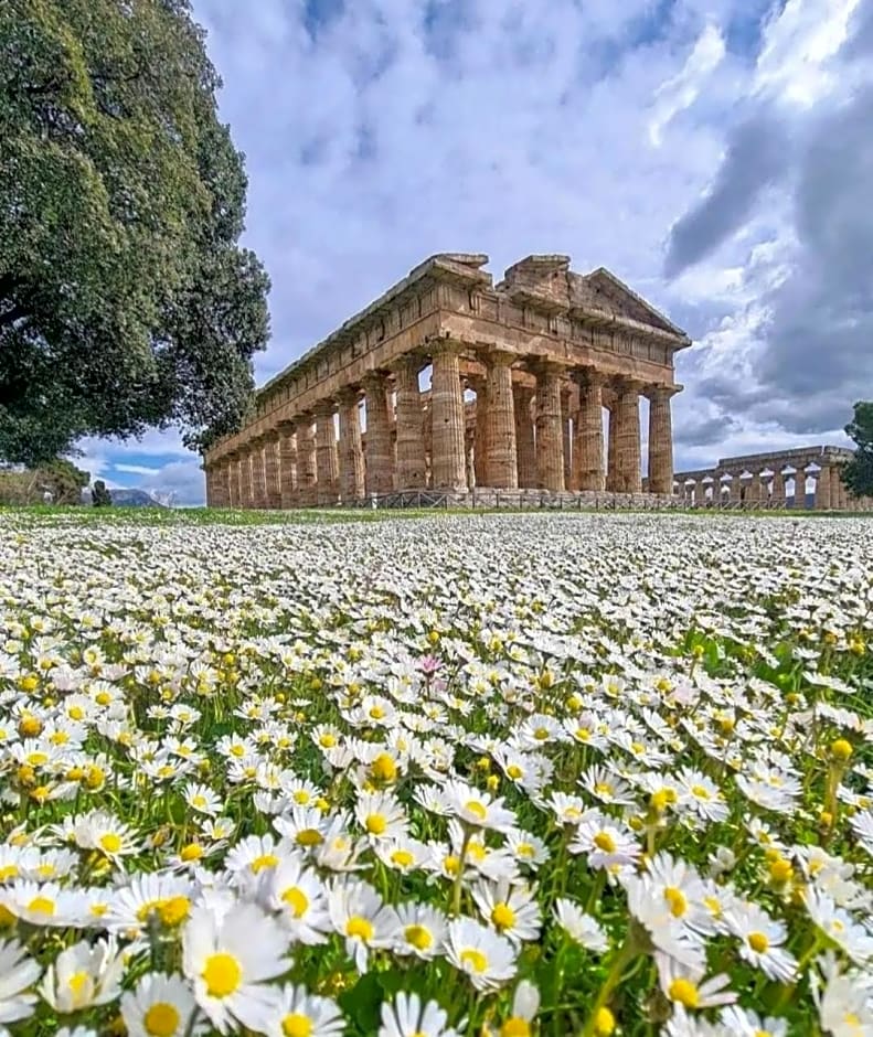 La Ricarda Dimora di Campagna