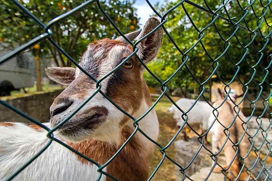 Village Valle D'Oro ApartHotel