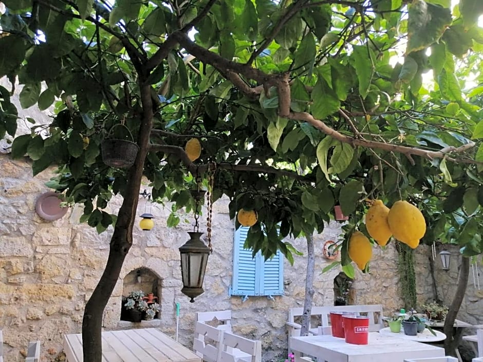 kaktüshan otel