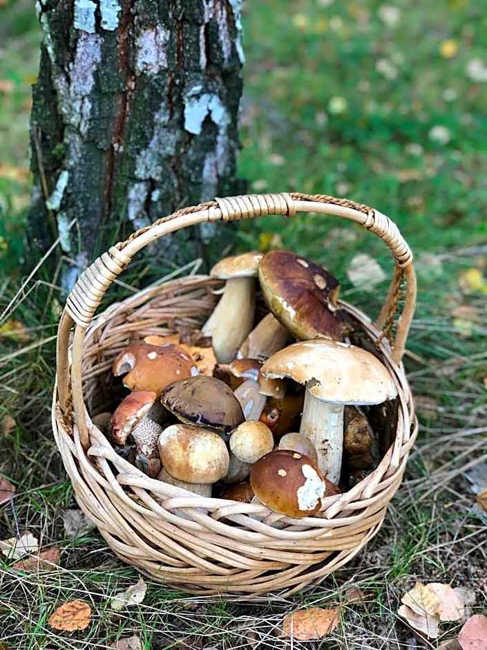 CHEZ YAYA Bogumiła Szeląg