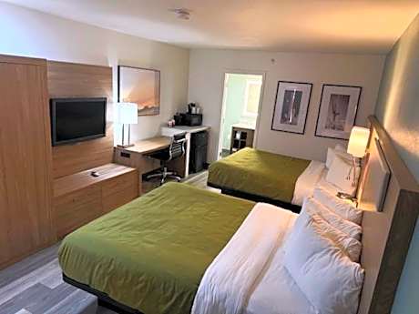 2 Queen Beds, Nonsmoking