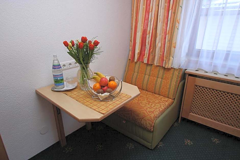 Alphotel Garni Salner