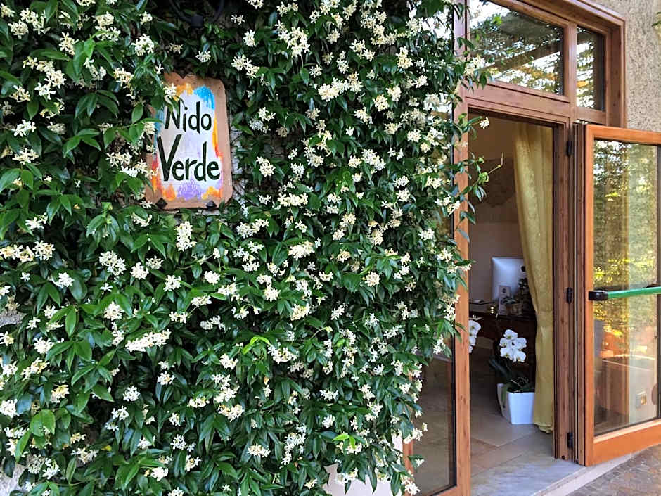 Nido Verde — 50 fotoğraftan 1. fotoğraf