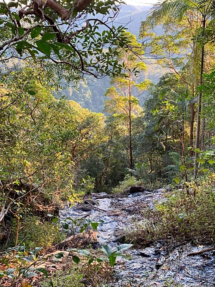 Montville Country Cabins