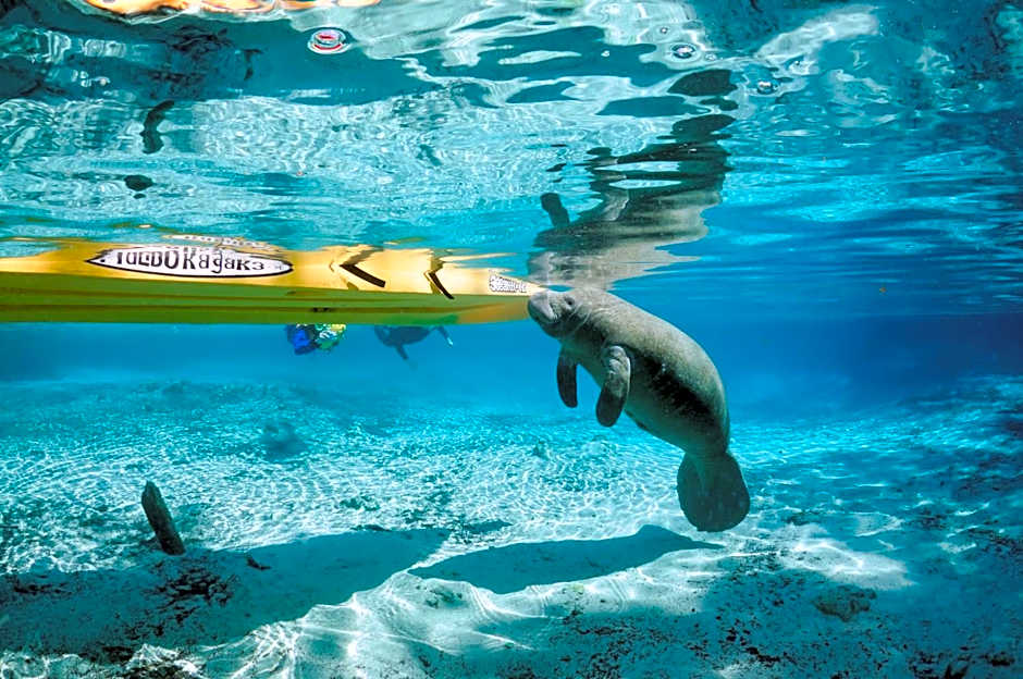 Holiday Inn Express Crystal River By IHG