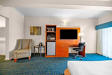 Suite-1 King Bed