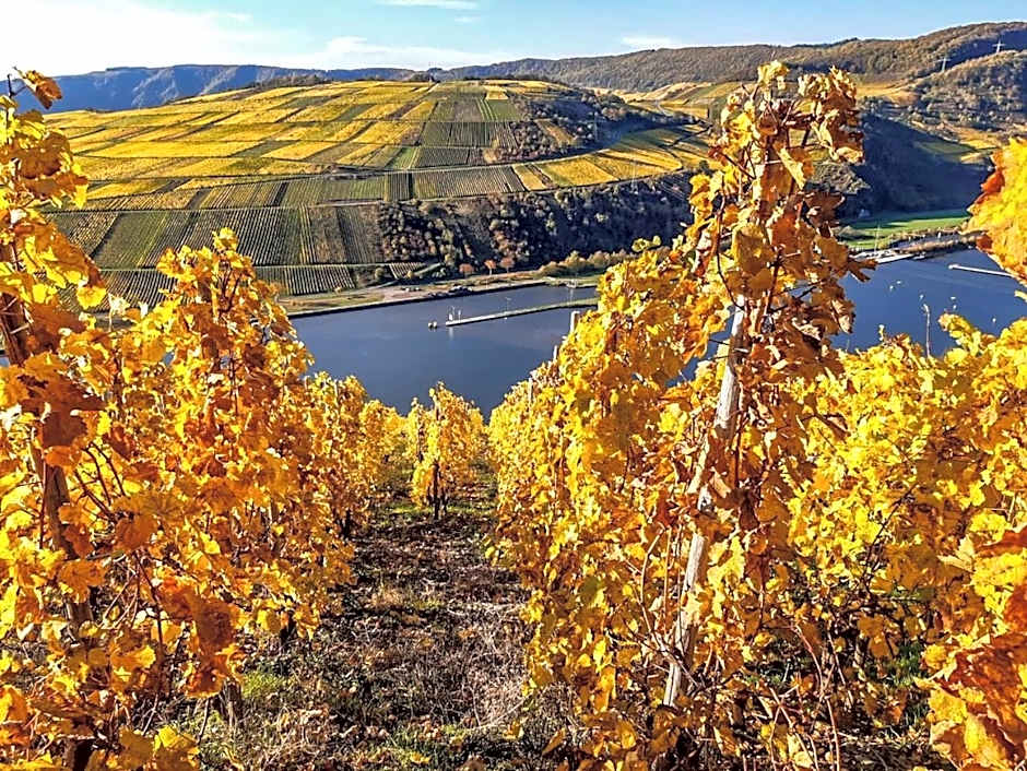 Moselhotel Weinhaus Simon `Sauna`Restaurant`ELadesäule