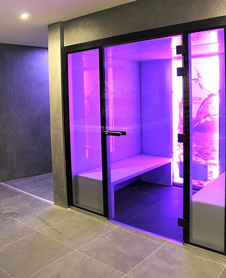 Hôtel Ginkgo - SPA Biloba