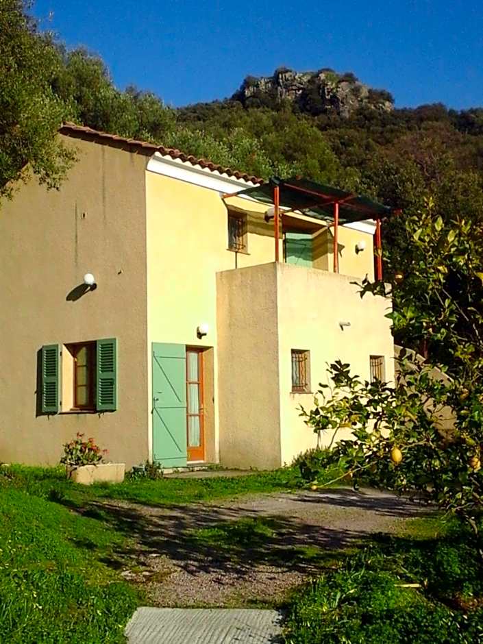 A CASA DI L'ALIVU