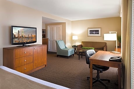 Junior King Suite with River View