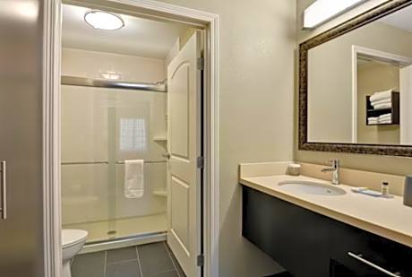 1 Queen Bed Studio Suite Sofa Bed