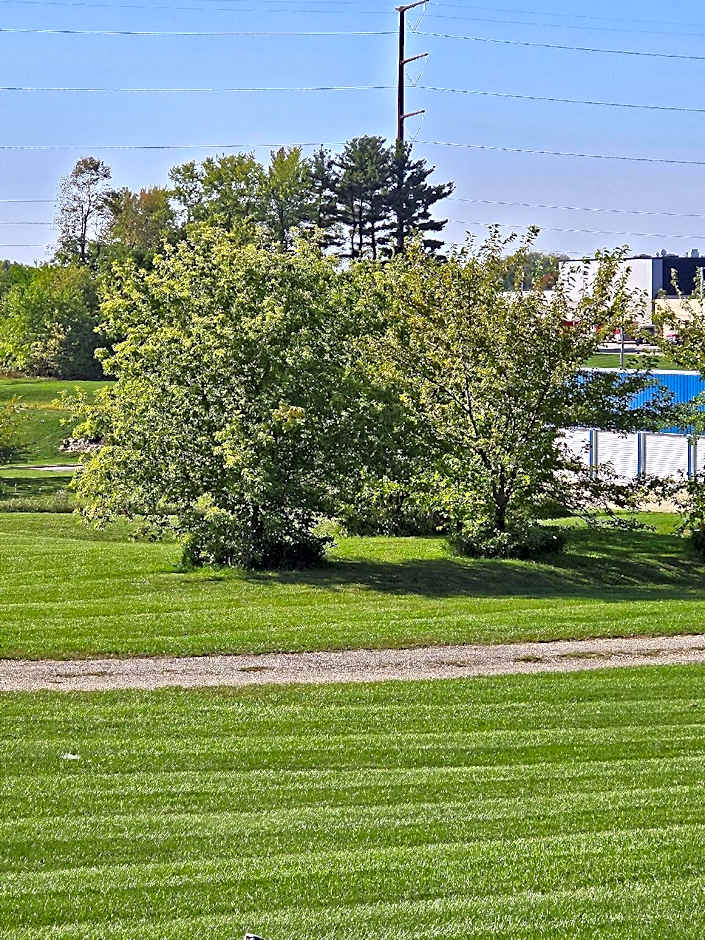 Super 8 by Wyndham Dodgeville