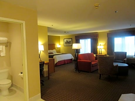 Suite-1 King Bed - Non-Smoking, Microwave And Refrigerator, Full Breakfast