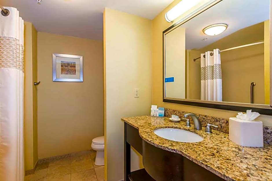 Hampton Inn & Suites Jacksonville South - Bartram Park