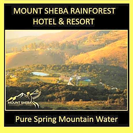 Mount Sheba Rainforest Hotel - Mountain Spring Water