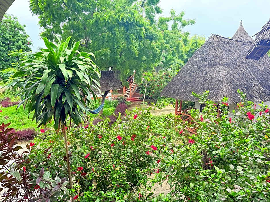 Tropinest bungalows & hostel
