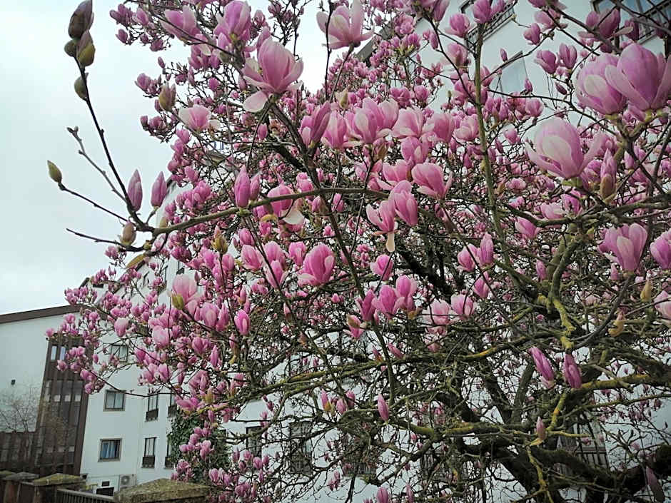 Steyler Fatima Hotel Congress & Spa