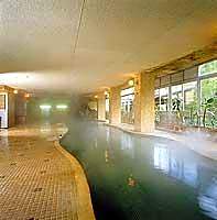Yamaneya Ryokan