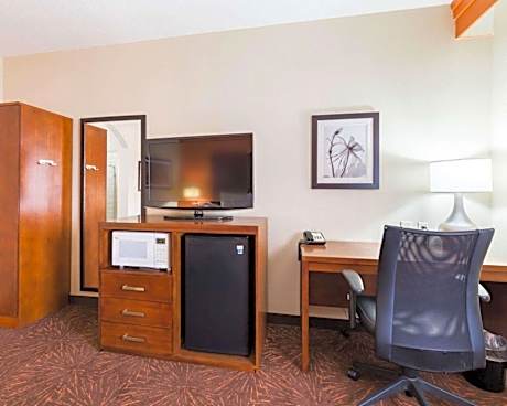 1 King Bed, Nonsmoking, Accessible