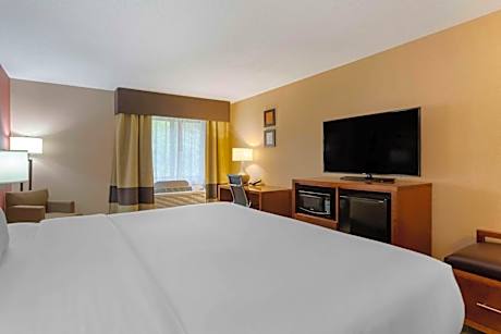 1 King Bed, Nonsmoking