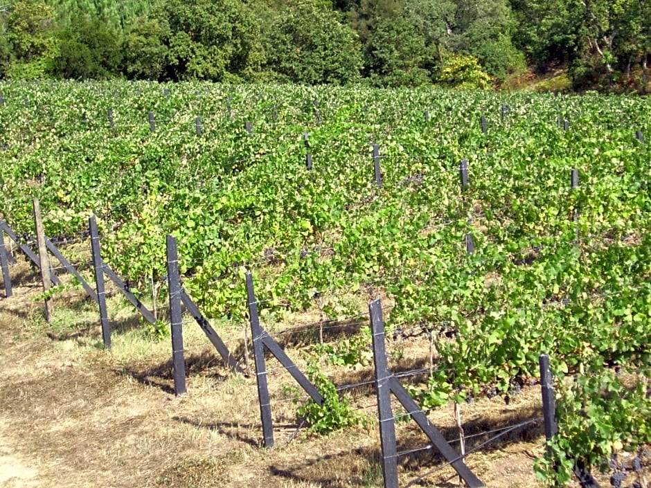 Quinta Do Albergue Do Bonjardim