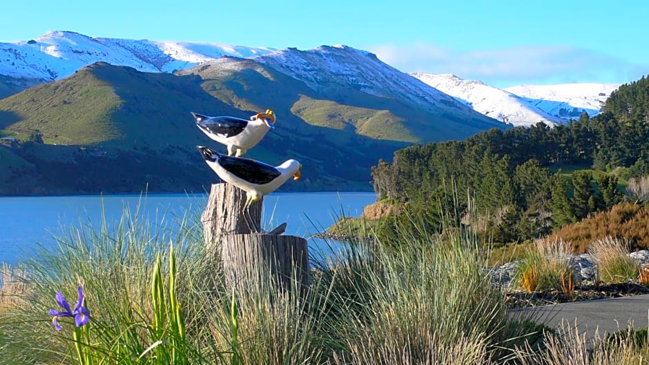 Port Levy B & B Christchurch