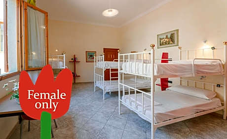 Bed in 4-Bed Female Dormitory Room