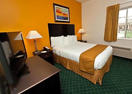 Queen Suite with Sofa Bed