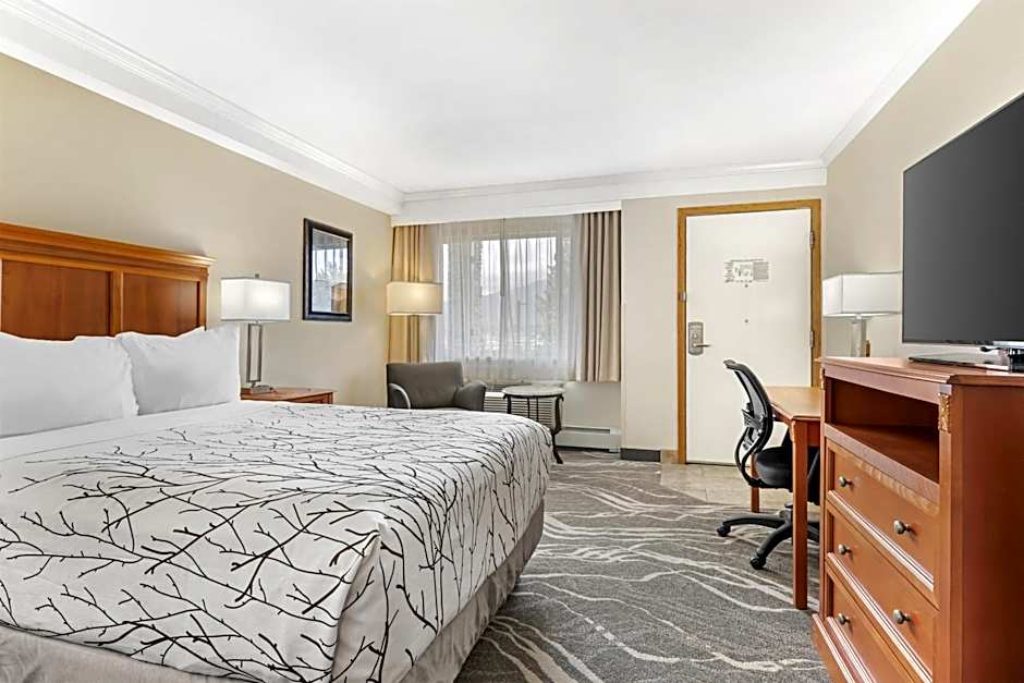 Best Western Plus Silver Saddle Inn
