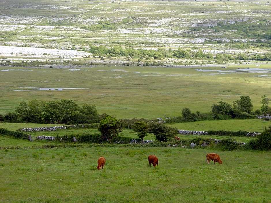 Clare's Rock Self-catering Accommodation