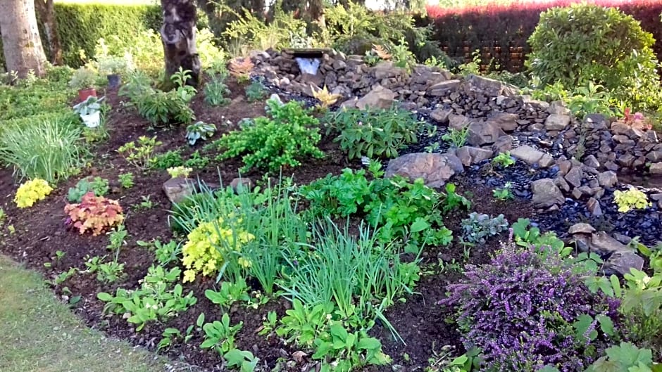 Chambres d'Hôtes Le Mûrier