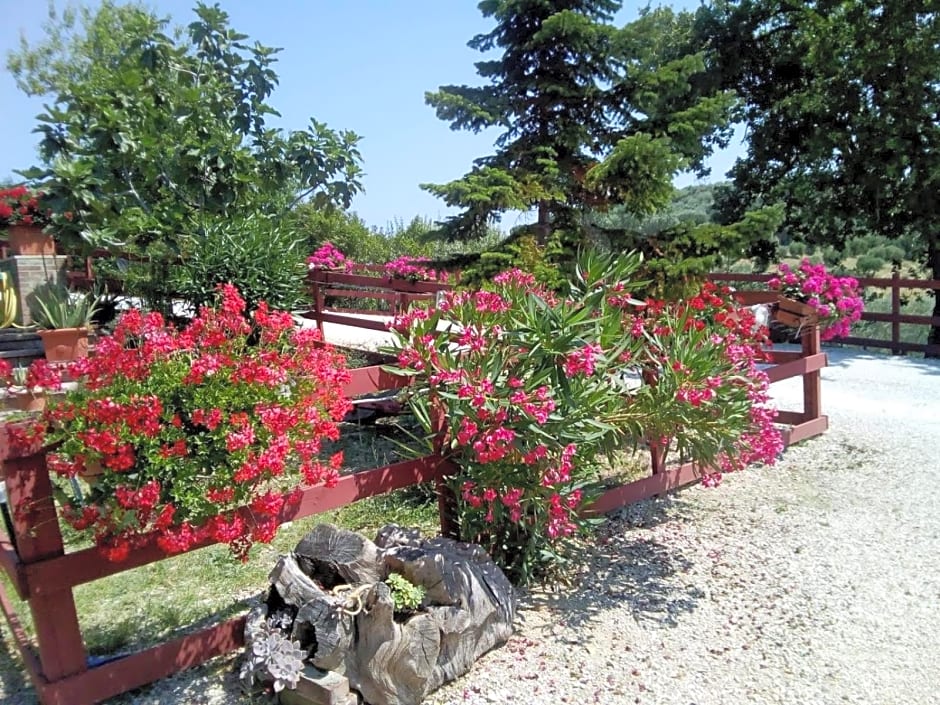 B&B Gli amici del tubarello